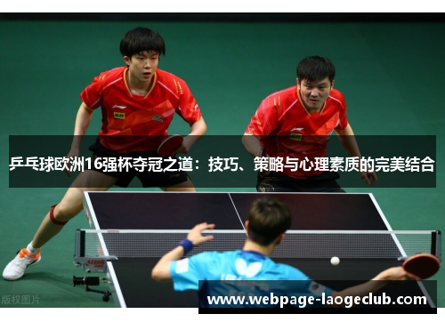 乒乓球欧洲16强杯夺冠之道：技巧、策略与心理素质的完美结合
