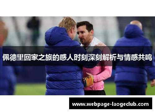 佩德里回家之旅的感人时刻深刻解析与情感共鸣